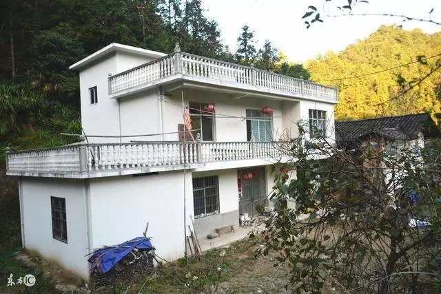 婆婆要把家產分給大伯哥,卻要我養老,我欣然接受,婆婆卻氣暈
