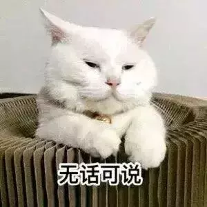 8個密封箱子路邊放了四個月沒人動,打開一看警察都嚇著了!