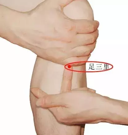 調養脾胃是中醫拿手活,這些調理方法收了吧!