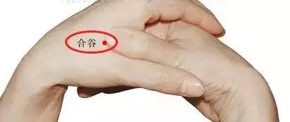調養脾胃是中醫拿手活,這些調理方法收了吧!