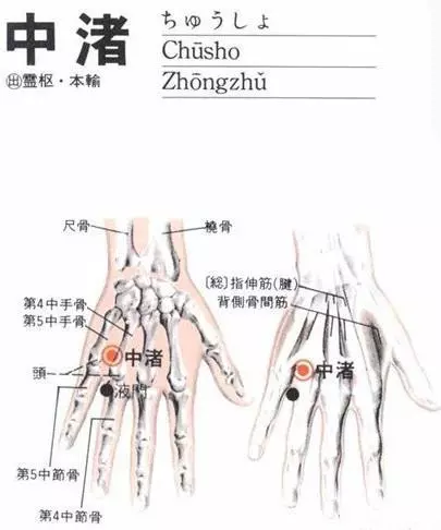 【每日一穴:中渚穴】