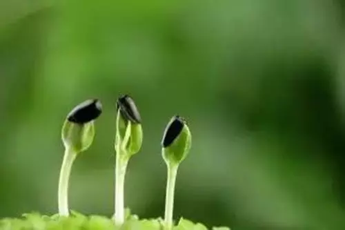 這輩子一定要學會「什麼時候要低頭」未來才有出頭的一天!