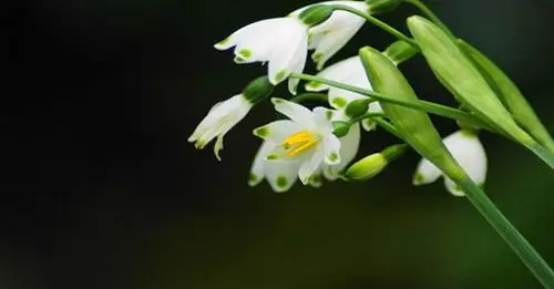 這輩子一定要學會「什麼時候要低頭」未來才有出頭的一天!