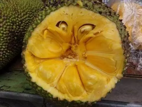 身上濕氣重的人,不要常吃這些蔬果!