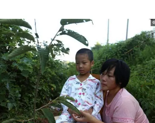 8歲男孩跟一歲弟弟同是患病,父母放棄男孩救弟弟,男孩寫下遺願