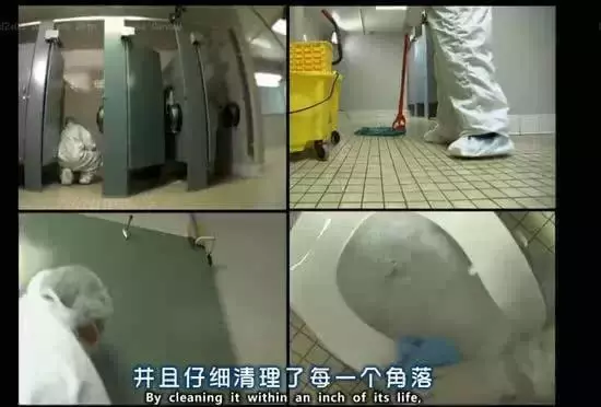 注意!去公共廁所的時候,「這間」千萬不要上!沒想到一直以來只有的人選對了...