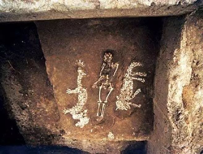 龍真是圖騰?考古出土6500年前「龍虎」,科學該如何解釋?