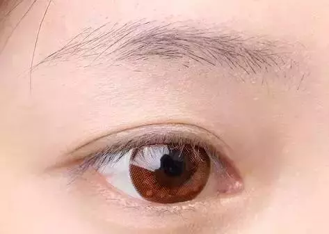 「男人看鼻,女人看眉」不想破財傷災、窮困潦倒,這10種眉毛一定要改!