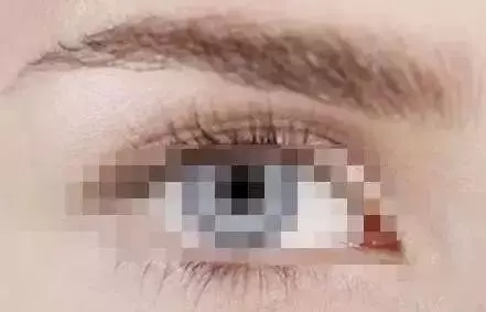「男人看鼻,女人看眉」不想破財傷災、窮困潦倒,這10種眉毛一定要改!