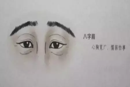 「男人看鼻,女人看眉」不想破財傷災、窮困潦倒,這10種眉毛一定要改!