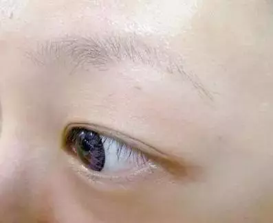 「男人看鼻,女人看眉」不想破財傷災、窮困潦倒,這10種眉毛一定要改!