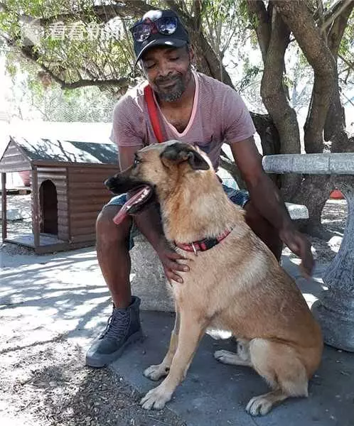 主人遭搶忠犬挺身而出 頭插尖刀血流滿面追歹徒