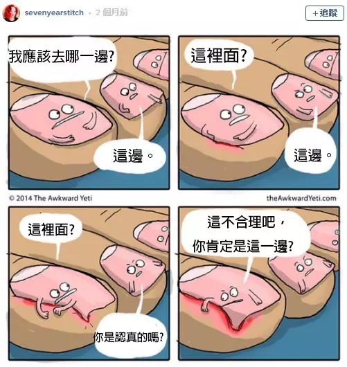 17個會讓人覺得超噁爛的「腳指甲知識」 人類的腳指甲其實是爪子