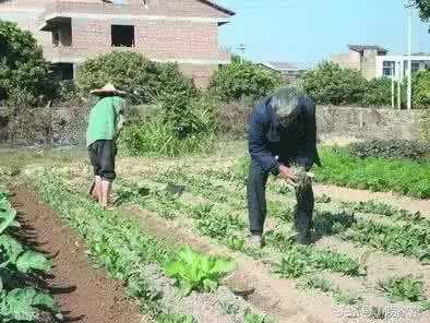 公公拒絕我們進他臥室,老公無奈踹開門,看見裡面的情況我們哭了