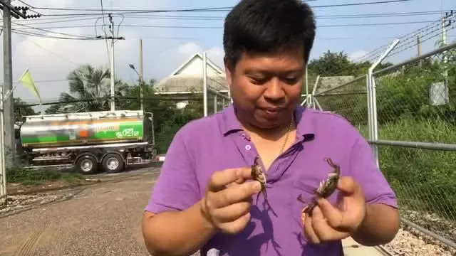 男子捉了15隻螃蟹,塞到瓶子裡,15天後打開樂壞了!