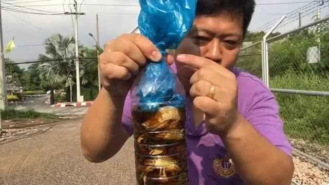 男子捉了15隻螃蟹,塞到瓶子裡,15天後打開樂壞了!