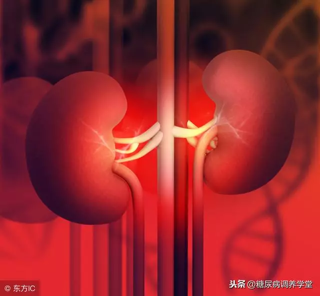 血糖」與「尿糖」——您未必了解的真相