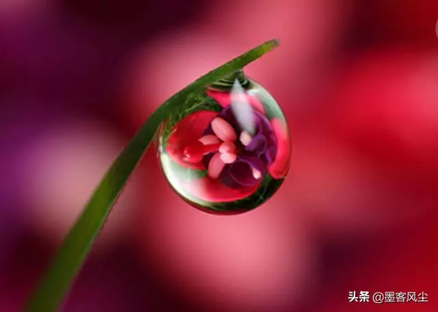 真正強大的人不是有錢,而是在這四方面很厲害