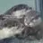 小水獺「超愛收納」什麼都能塞 玩具全放「飼育員雨靴」:我的百寶袋❤