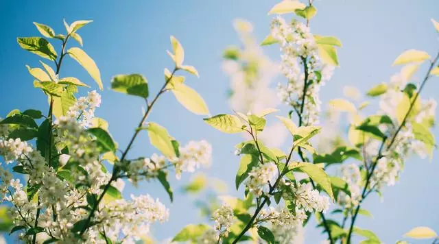 易經:改變命運的,是你的見識,堅持這3種理念,人生越來越順!
