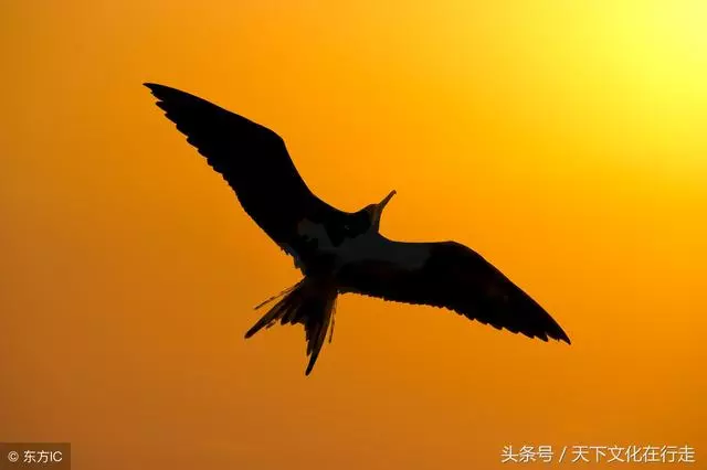 努力、拼搏到感動自己,送給一直奔跑在路上的努力拚搏的人