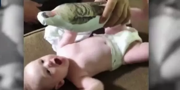 是爸爸!因為爸爸是軍人,常常不再家!當寶寶看到「爸爸玩偶時」激萌的反應萌暈全網!