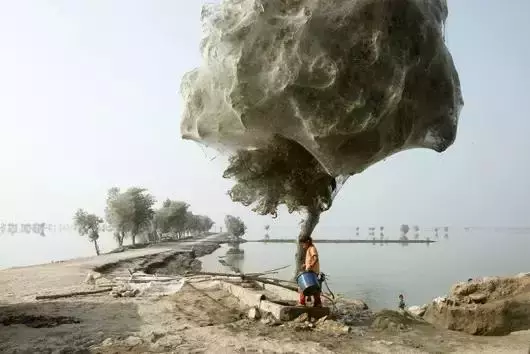 14個最瘋狂的自然現象