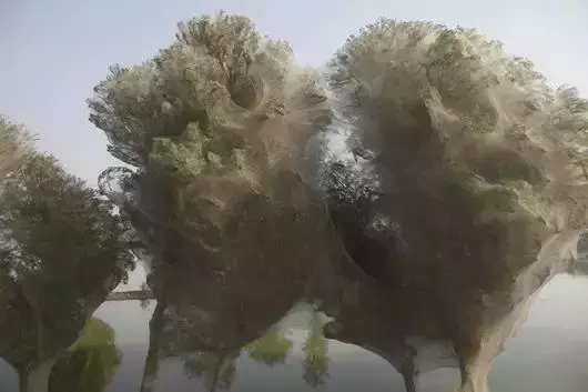 14個最瘋狂的自然現象