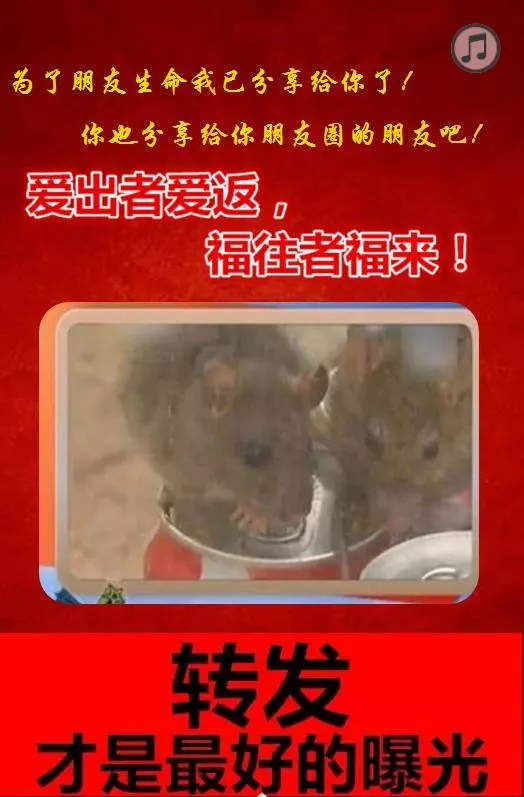 今日早上8:00剛剛發生的,太恐怖了!新聞媒體都不敢播放,好可怕!