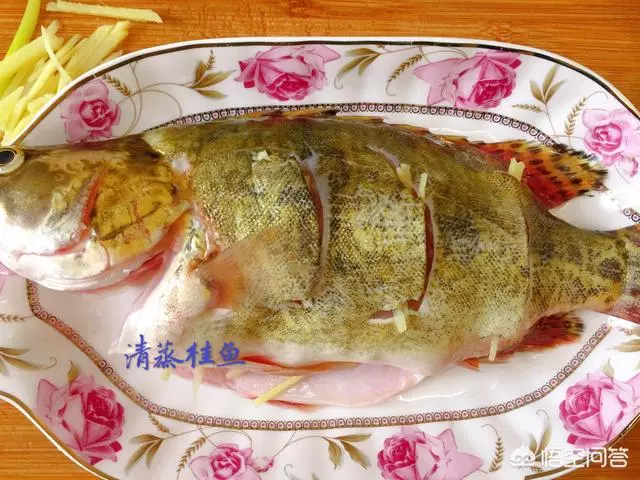 想做清蒸魚,哪種魚比較好?