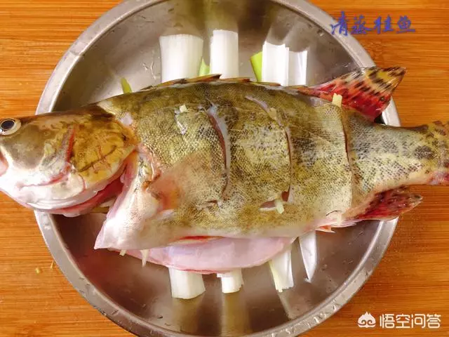 想做清蒸魚,哪種魚比較好?