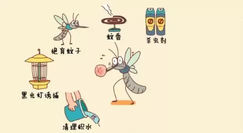 「蚊子不是看血型叮人」 曝光你蚊子為什麼「總是只叮你」的原因!快改掉這些習慣!