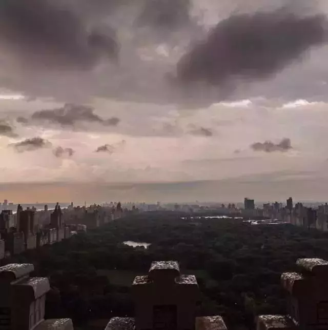 世界上最震撼的照片,都是用生命拍出來的