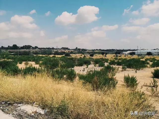 全世界最好的西班牙海鮮飯在哪裡?
