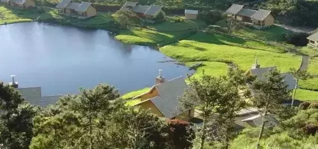 原來巴西的民宿也很美!