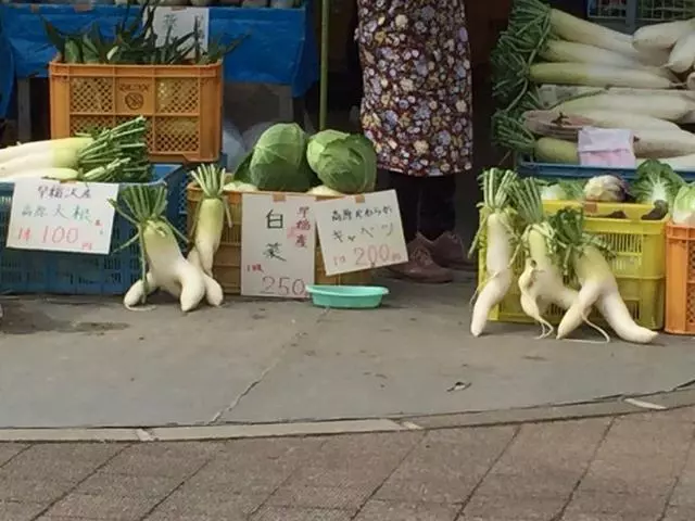 日本網友吐槽:蘿蔔成精,組團逃跑了