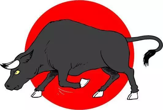 12生肖改運的10種方法,學會可以招財來!