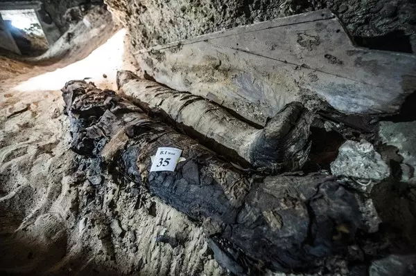 人死後體內血液會流去哪裡?答案讓你頭皮發麻啦!!!