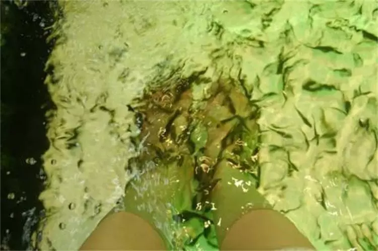 男子十年不洗腳,和女朋友去做魚療足浴,下一幕店鋪老闆直接傻了!