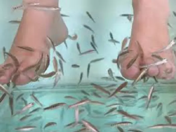 男子十年不洗腳,和女朋友去做魚療足浴,下一幕店鋪老闆直接傻了!