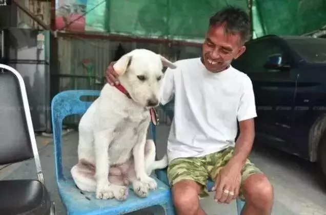 為慶祝走失愛犬順利找回,大叔連擺三天流水席:隨便吃