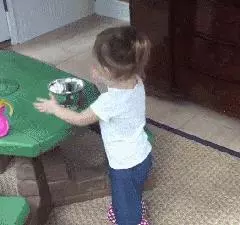 狗真的懂得謙讓小孩子嗎?