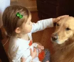 狗真的懂得謙讓小孩子嗎?