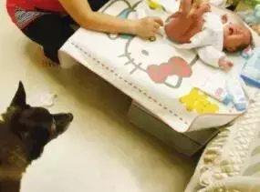 狗真的懂得謙讓小孩子嗎?