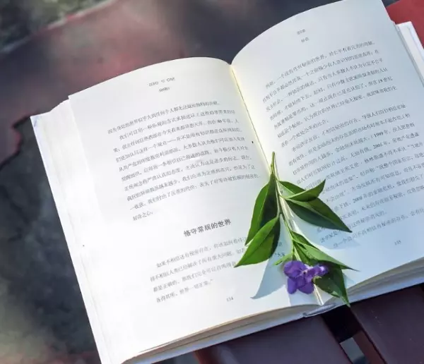 『成長』是人一定會經歷的一個孤獨過程! 要學會凡事依靠自己,否則很難在社會上立足!