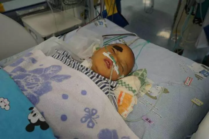 「爸爸,我不治了,給我買雙新鞋和一身新衣服就好。」 8歲女童被馬蜂群蜇,求家人放棄!…