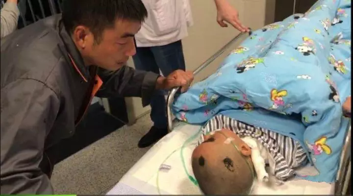 「爸爸,我不治了,給我買雙新鞋和一身新衣服就好。」 8歲女童被馬蜂群蜇,求家人放棄!…