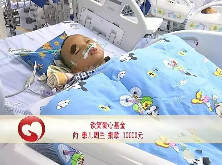 「爸爸,我不治了,給我買雙新鞋和一身新衣服就好。」 8歲女童被馬蜂群蜇,求家人放棄!…