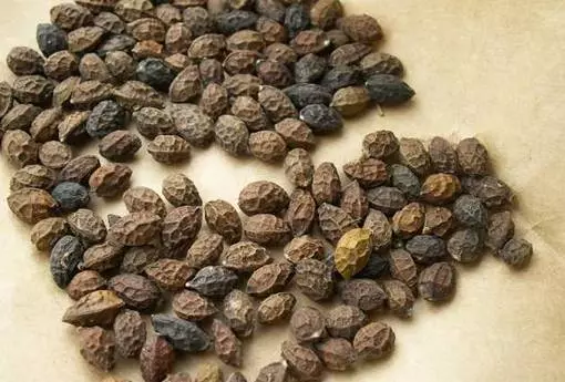 雞眼怎麼根治?這個偏方很有效