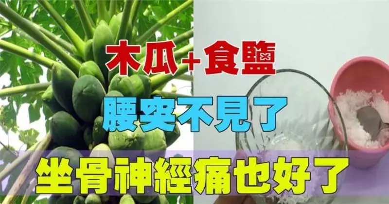 木瓜加食鹽,是對付腰突、坐骨神經痛的一把好手,腰不疼了,全身輕鬆